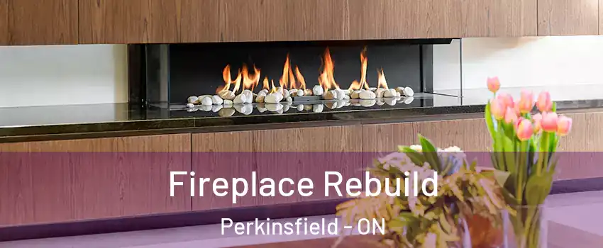 Fireplace Rebuild Perkinsfield - ON