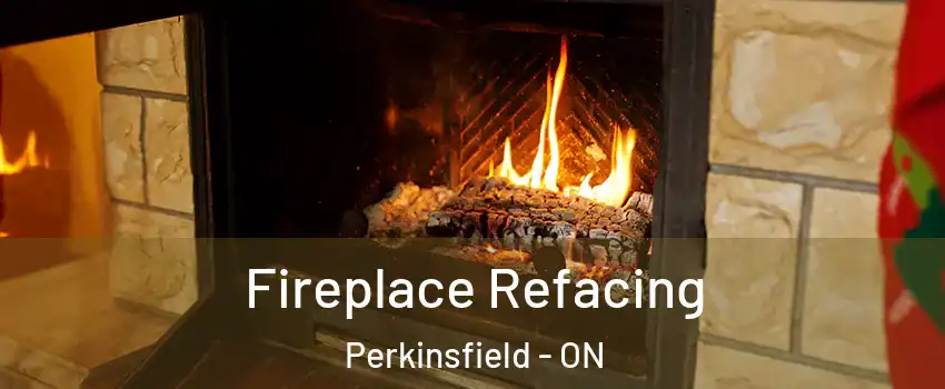  Fireplace Refacing Perkinsfield - ON