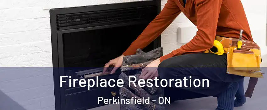  Fireplace Restoration Perkinsfield - ON