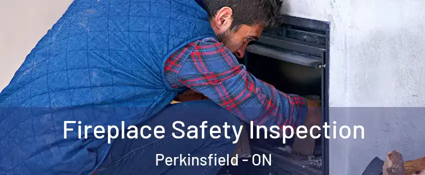  Fireplace Safety Inspection Perkinsfield - ON