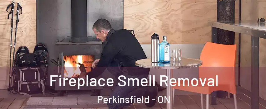  Fireplace Smell Removal Perkinsfield - ON