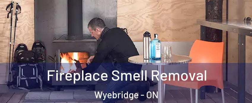  Fireplace Smell Removal Wyebridge - ON