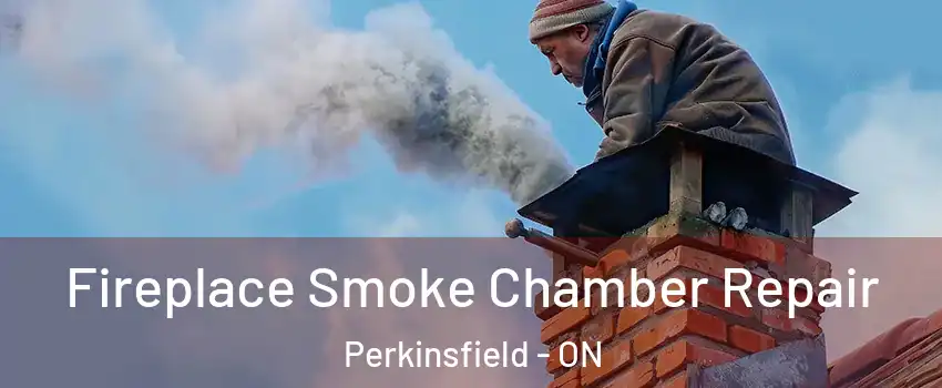  Fireplace Smoke Chamber Repair Perkinsfield - ON