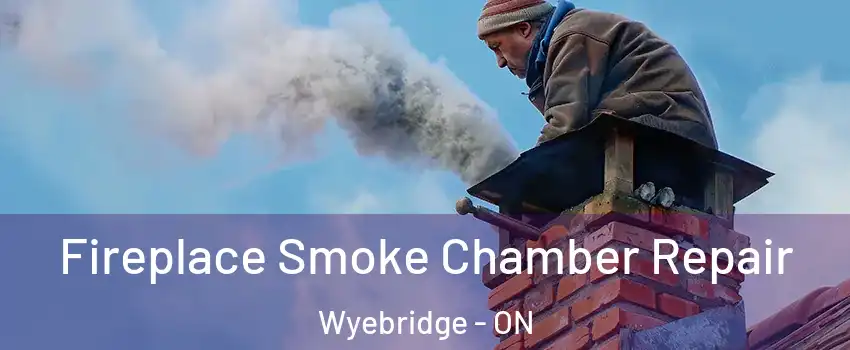  Fireplace Smoke Chamber Repair Wyebridge - ON