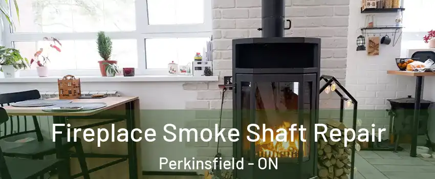  Fireplace Smoke Shaft Repair Perkinsfield - ON