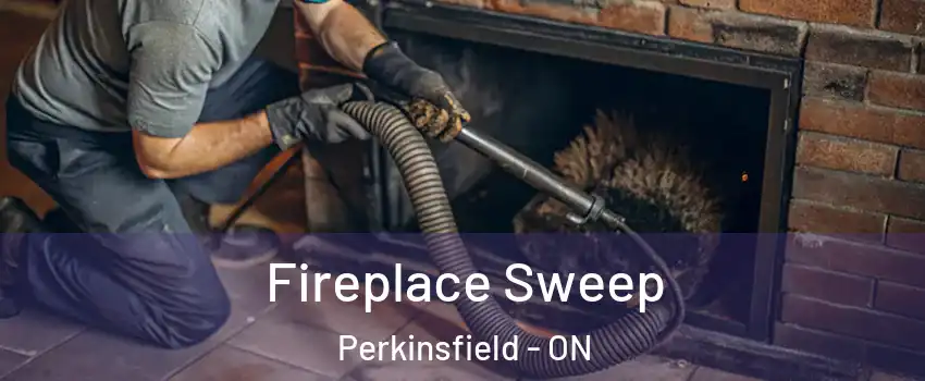  Fireplace Sweep Perkinsfield - ON