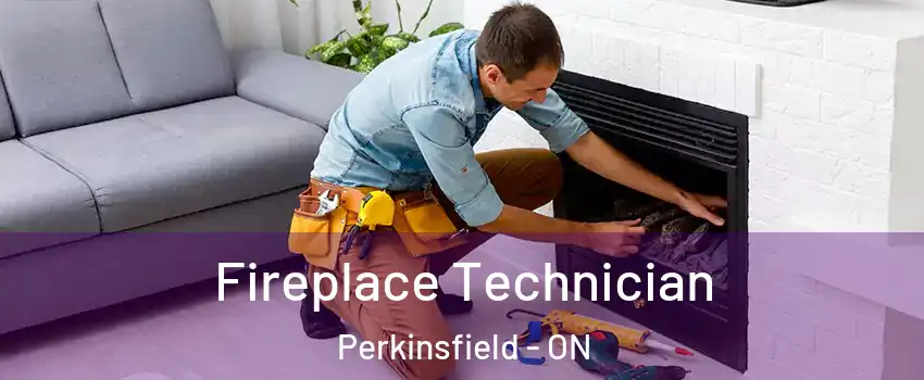 Fireplace Technician Perkinsfield - ON