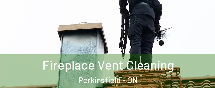  Fireplace Vent Cleaning Perkinsfield - ON
