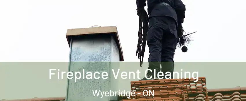  Fireplace Vent Cleaning Wyebridge - ON