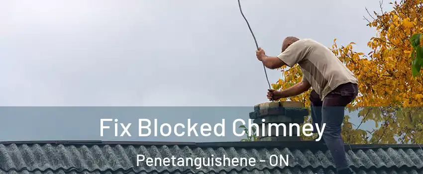  Fix Blocked Chimney Penetanguishene - ON