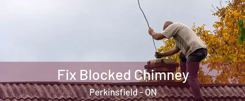  Fix Blocked Chimney Perkinsfield - ON