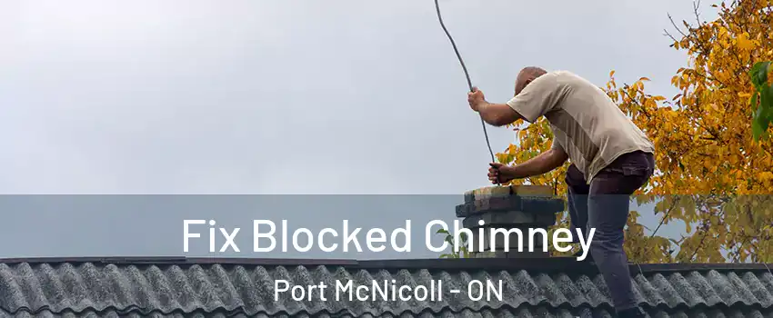  Fix Blocked Chimney Port McNicoll - ON