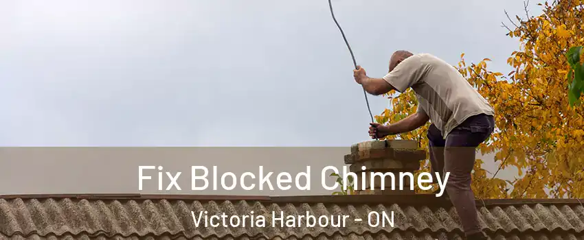  Fix Blocked Chimney Victoria Harbour - ON