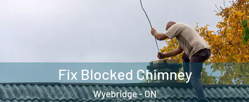  Fix Blocked Chimney Wyebridge - ON