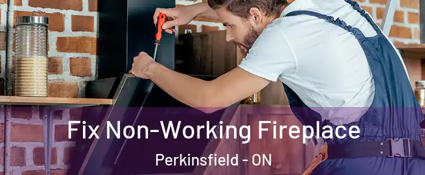  Fix Non-Working Fireplace Perkinsfield - ON