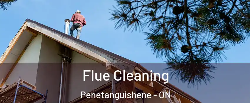  Flue Cleaning Penetanguishene - ON