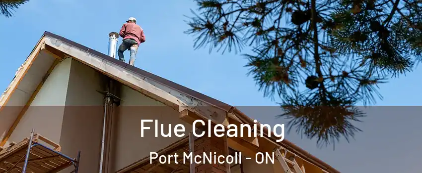  Flue Cleaning Port McNicoll - ON