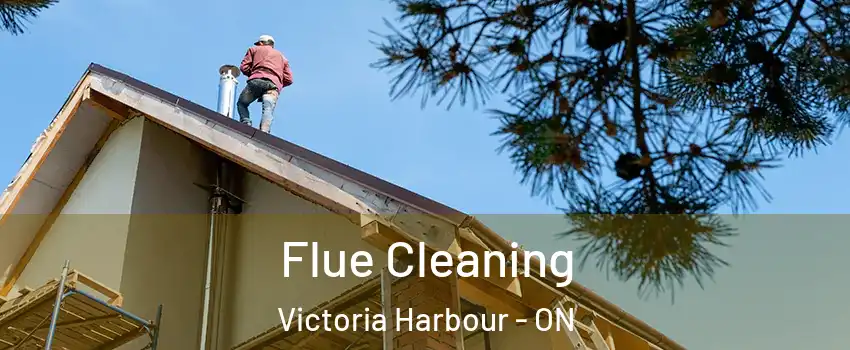  Flue Cleaning Victoria Harbour - ON