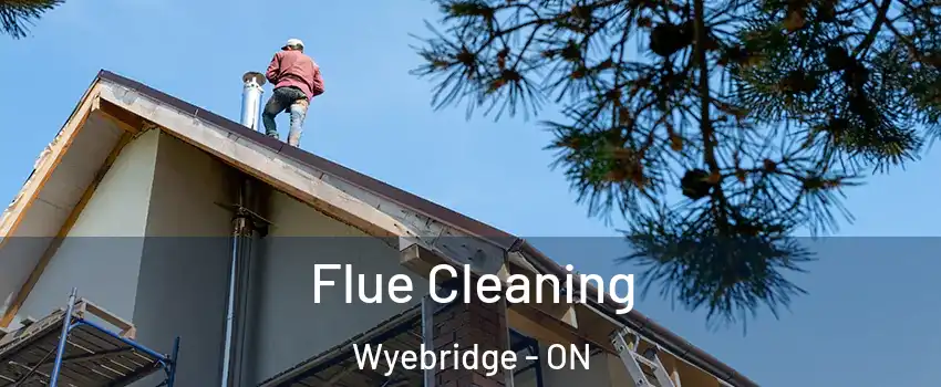  Flue Cleaning Wyebridge - ON