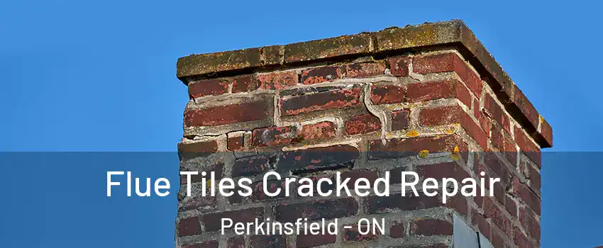  Flue Tiles Cracked Repair Perkinsfield - ON