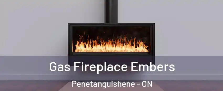  Gas Fireplace Embers Penetanguishene - ON