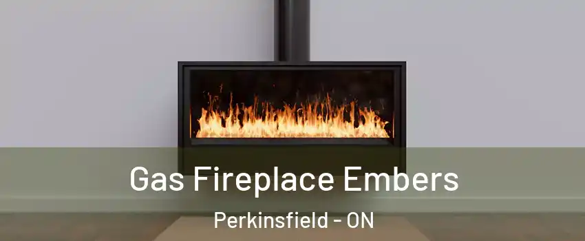 Gas Fireplace Embers Perkinsfield - ON