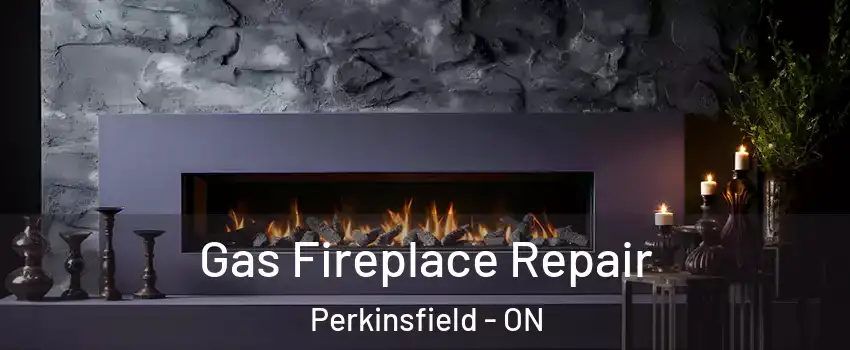  Gas Fireplace Repair Perkinsfield - ON