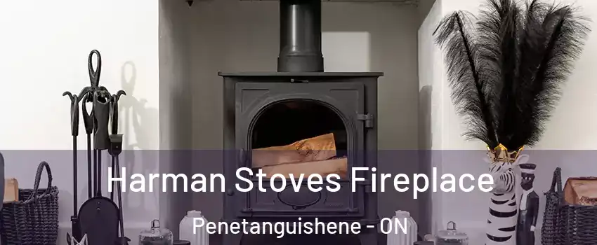  Harman Stoves Fireplace Penetanguishene - ON