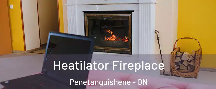  Heatilator Fireplace Penetanguishene - ON