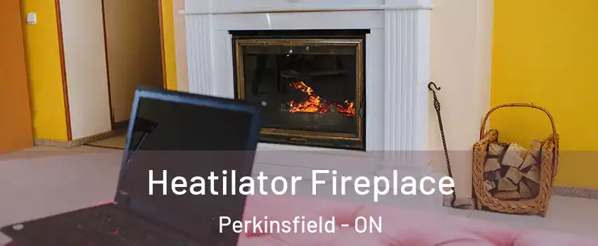  Heatilator Fireplace Perkinsfield - ON