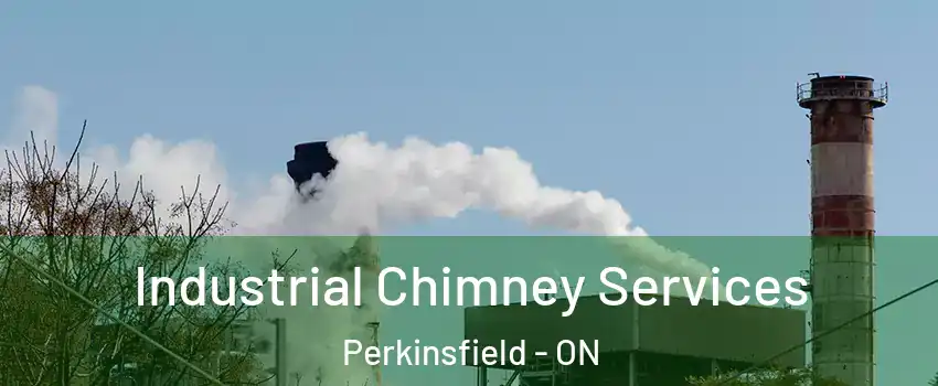  Industrial Chimney Services Perkinsfield - ON