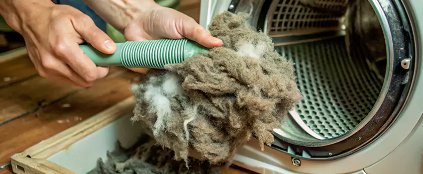 Best Dryer Lint Removal Company in Port McNicoll, Ontario