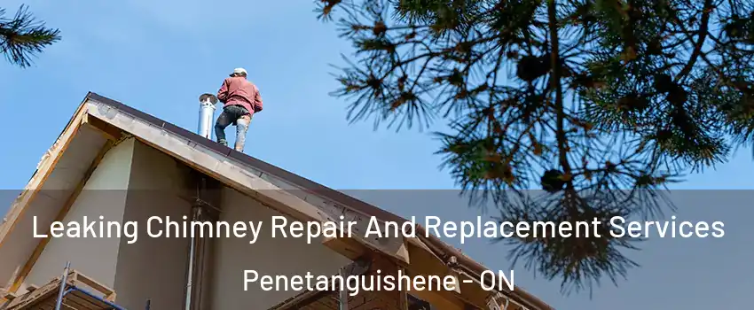  Leaking Chimney Repair And Replacement Services Penetanguishene - ON