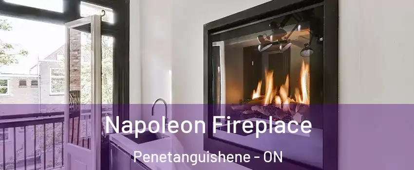  Napoleon Fireplace Penetanguishene - ON