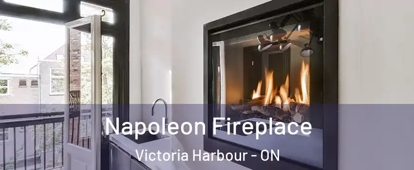  Napoleon Fireplace Victoria Harbour - ON