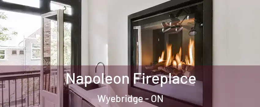  Napoleon Fireplace Wyebridge - ON