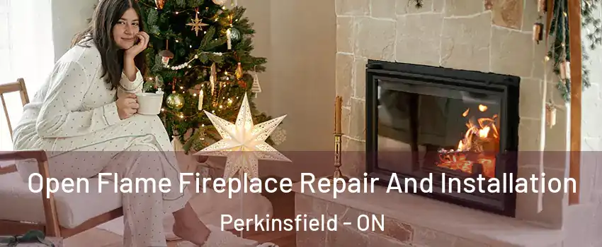  Open Flame Fireplace Repair And Installation Perkinsfield - ON