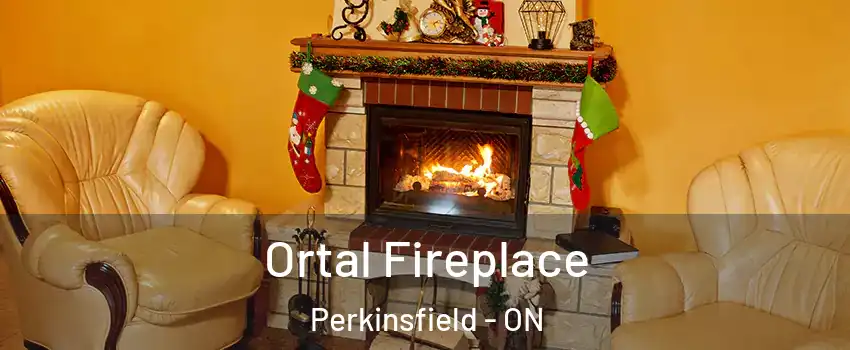  Ortal Fireplace Perkinsfield - ON