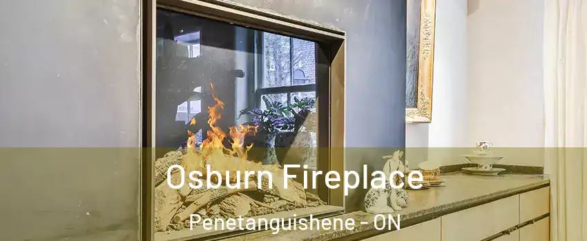 Osburn Fireplace Penetanguishene - ON