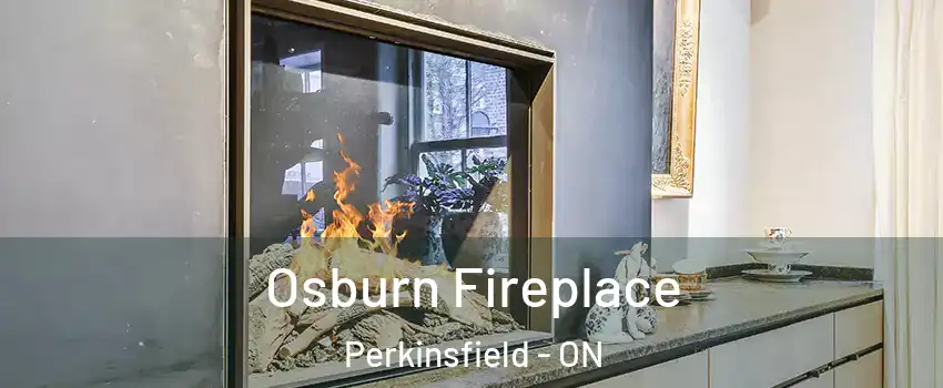  Osburn Fireplace Perkinsfield - ON