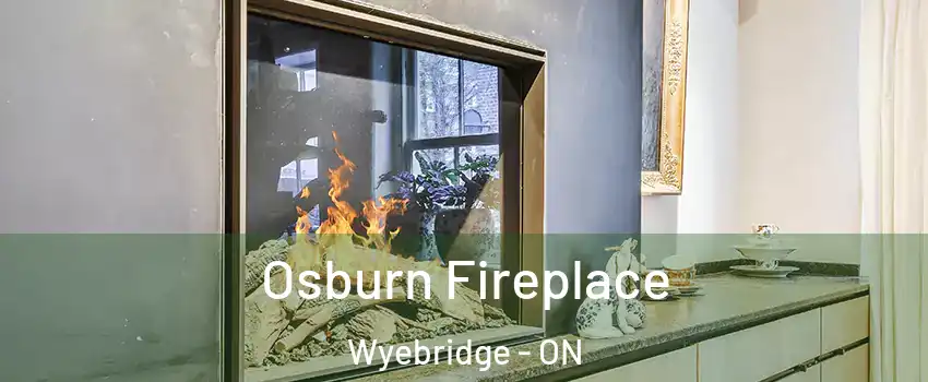  Osburn Fireplace Wyebridge - ON