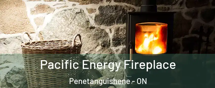  Pacific Energy Fireplace Penetanguishene - ON