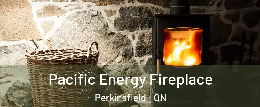  Pacific Energy Fireplace Perkinsfield - ON