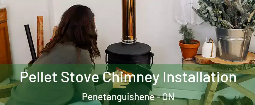  Pellet Stove Chimney Installation Penetanguishene - ON
