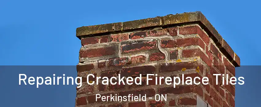  Repairing Cracked Fireplace Tiles Perkinsfield - ON