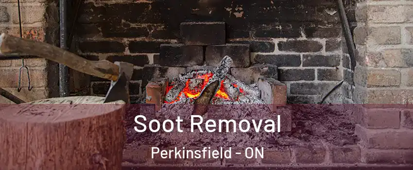  Soot Removal Perkinsfield - ON
