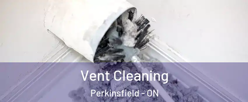  Vent Cleaning Perkinsfield - ON