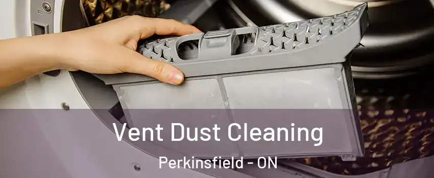  Vent Dust Cleaning Perkinsfield - ON