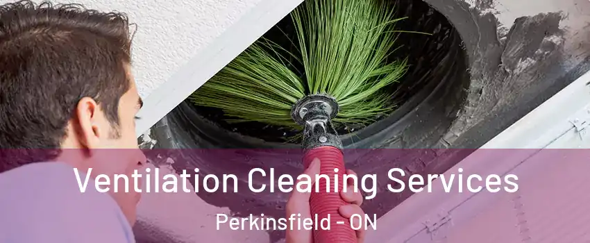  Ventilation Cleaning Services Perkinsfield - ON