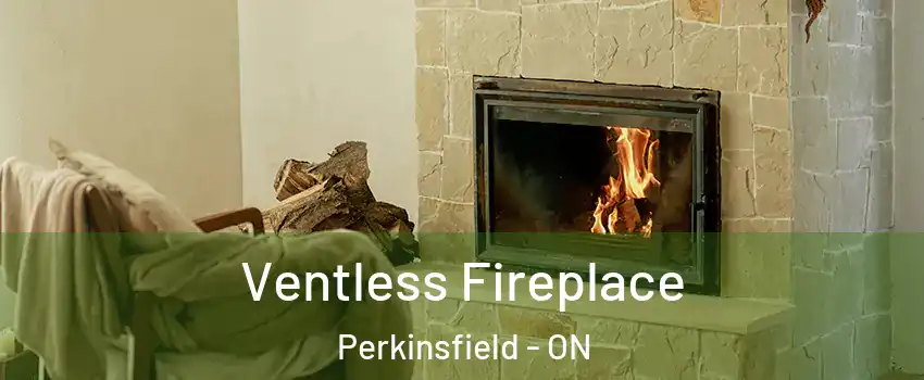  Ventless Fireplace Perkinsfield - ON